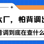 大厂求职背调全解析 HR到底在查什么?求职者必读