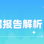 个人大数据报告是什么?查了有什么用?附详版报告解析