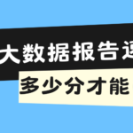 个人大数据报告怎么查?多少分才能申请?附查询指南