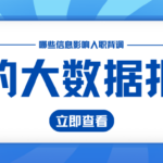 求职者必读 大数据报告中哪些信息可能影响你入职背调?