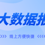 个人大数据报告是什么样的?有什么内容?在哪可以查?
