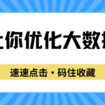 大数据评分显示异常记录可以优化吗?一篇让你了解