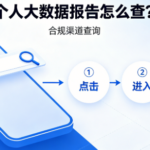 个人大数据报告负债怎么查?一步教你看清全貌