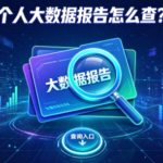 只借一个网贷 为什么个人大数据报告全是查询记录?