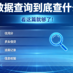个人大数据报告查询到底查什么?一篇文章讲全所有内容