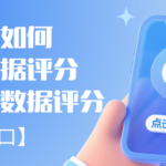 如何查询及提高你的大数据评分?附正规渠道入口