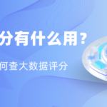 大数据评分有什么用?如何查询?一文读懂信用评分价值与操作指南