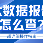如何自查个人大数据评分？看清自身真实资质水平