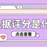 大数据评分低怎么办?0-100分对照表快看看你在哪一档?