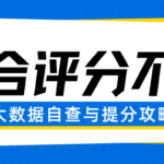 大数据综合评分不足？大数据评分自查与提分攻略